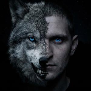 WoLF178
