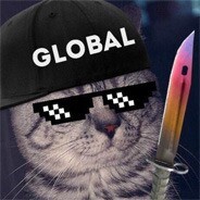война котиков
