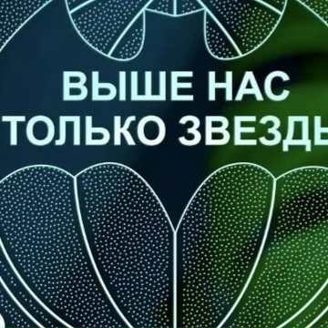 Племяш