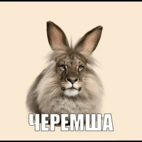 Егор Бояринцев